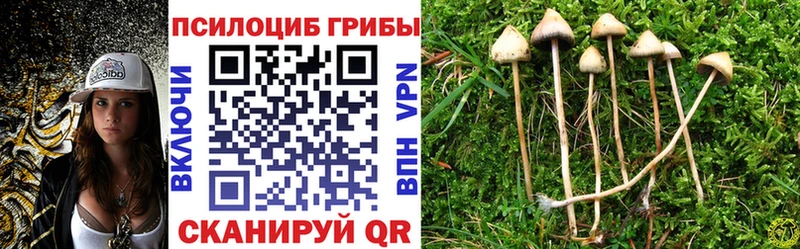 Купить закладки  Темников  Галлюциногенные грибы мицелий 