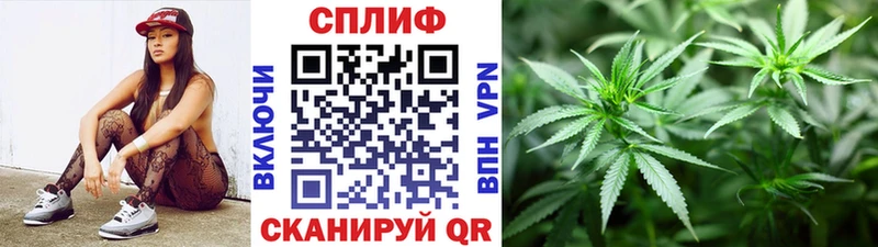 Конопля ГИДРОПОН  Купить где  Темников 